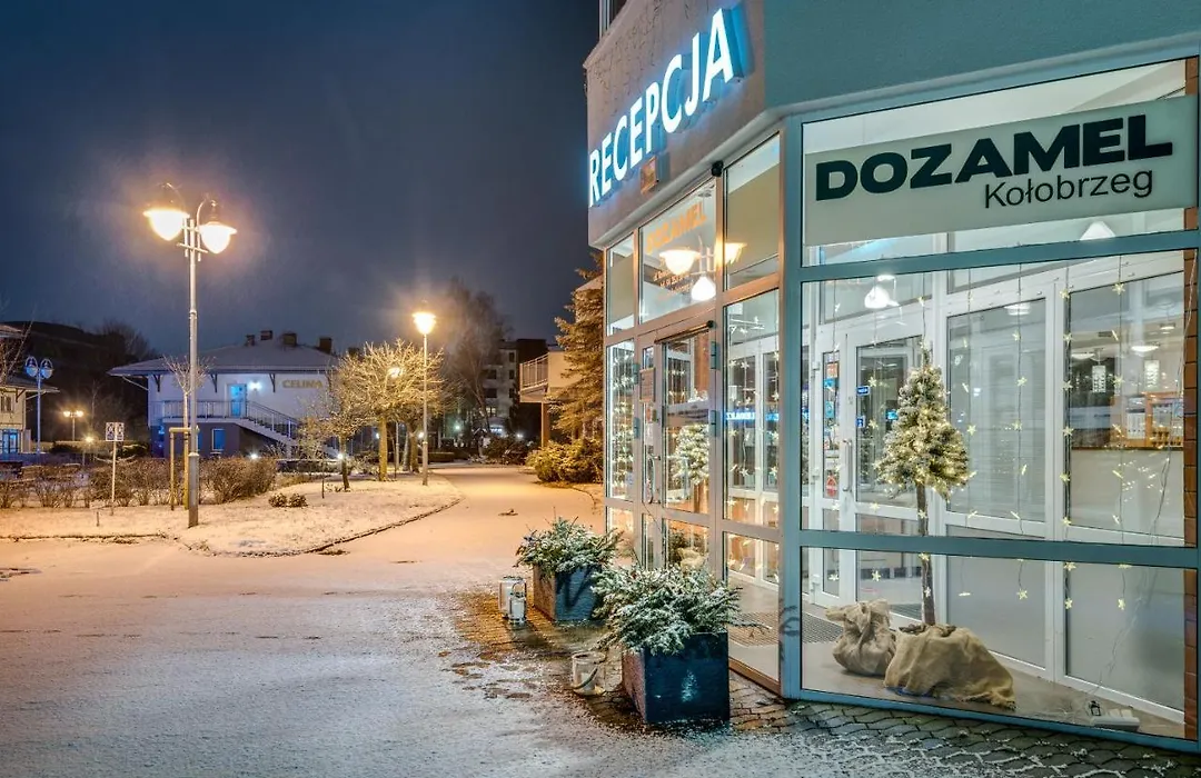 Dozamel-1